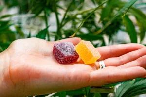 what are hybrid edibles good for hybrid edibles
