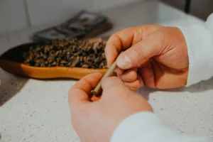 A close-up shot focused on a person's hands carefully rolling a joint or blunt over a speckled white countertop. In the soft-focus background, a shallow wooden dish is filled with ground cannabis flower, sitting next to a stack of United States dollar bills.