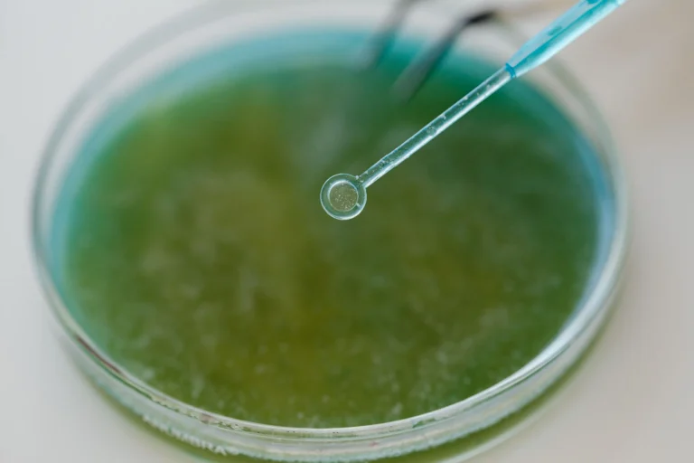 A close-up, high-angle photograph capturing a scientific or microbiology procedure. In the sharp foreground, a translucent blue plastic inoculation loop tool is held suspended over a Petri dish. The circular loop at the tip of the tool is perfectly in focus, showing minuscule particles or droplets inside the ring. Below it, the blurred Petri dish contains a textured, green and teal agar growth medium, illustrating a laboratory setting used for bacterial culturing, cellular research, or biotechnology testing.